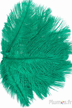 Struzzo - 13-18 cm - smeraldo